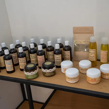 Apartma In Wellness Cista Fantazija Apartment *