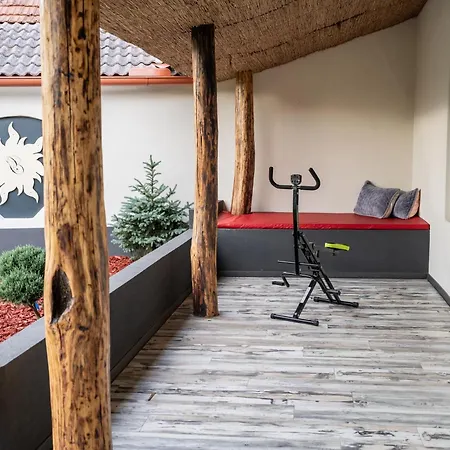 Apartment Apartma In Wellness Cista Fantazija Velika Polana