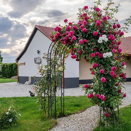 Apartma In Wellness Cista Fantazija Apartmán *