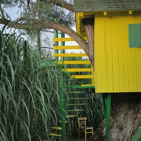 Apartma In Wellness Cista Fantazija Velika Polana