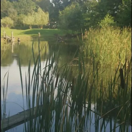 Apartma In Wellness Cista Fantazija Apartment