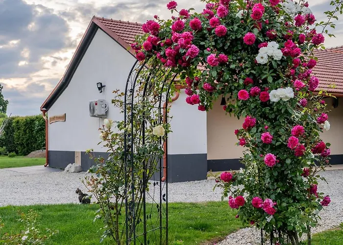 Apartma In Wellness Cista Fantazija Apartment *