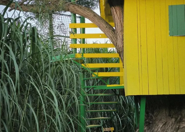 Apartma In Wellness Cista Fantazija Velika Polana