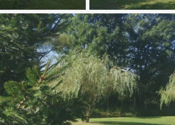 Apartma In Wellness Cista Fantazija Velika Polana