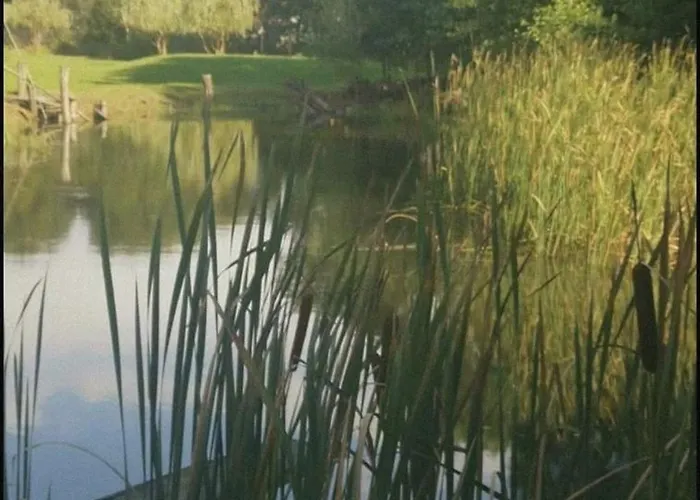 Apartma In Wellness Cista Fantazija Apartment