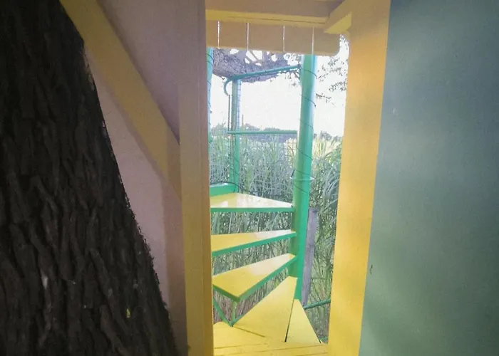 Apartma In Wellness Cista Fantazija Velika Polana